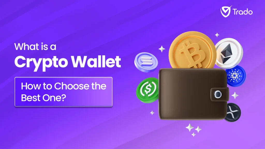 What is a Crypto Wallet & How to Choose the Best One?